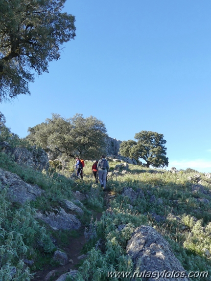 Sierra del Hacho (Gaucín)