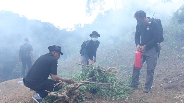  Bareskrim Polri Musnahkan 5 Hektare Ladang Ganja di Sumatera Utara