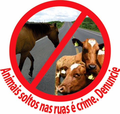 PREFEITURA RECOLHE ANIMAIS SOLTOS NAS RUAS DE BOM CONSELHO