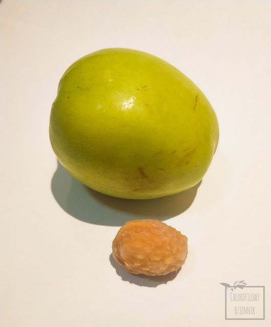 Głożyna omszona (Ziziphus mauritiana) Indian plum Chinese apple owoce egzotyczne z Azji smak wygląd opis pochodzenie uprawa występowanie owoc nasiona