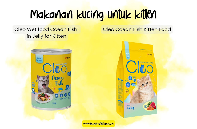 Cleo, Makanan kucing yang Bagus Agar Tambah Sehat