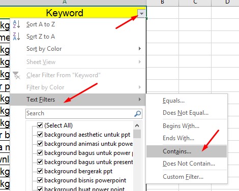 Text Filter Contains di Excel