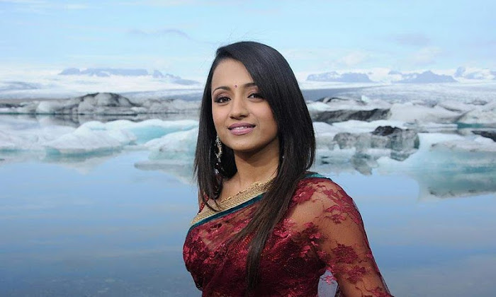 trisha in transparent saree unseen pics