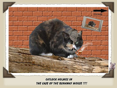 Catlock Holmes