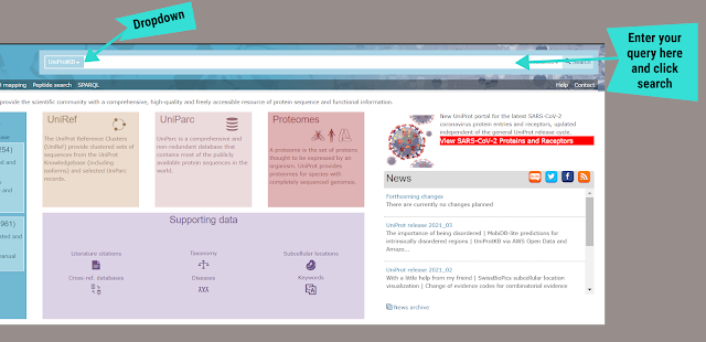 protein sequence | uniprot