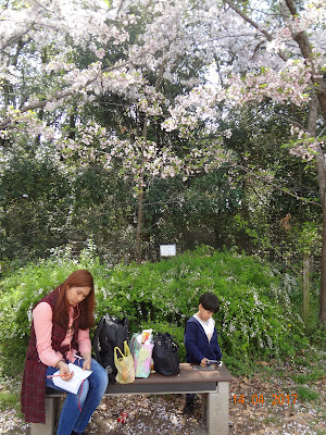 Hanami osaka 2017