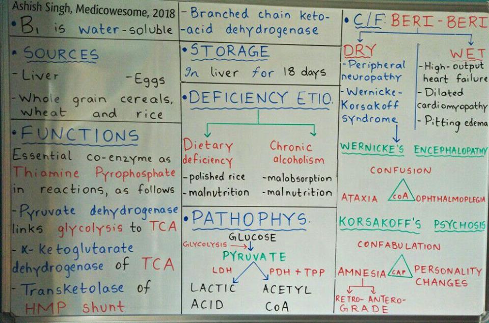 Medicowesome: Thiamine and Beri-Beri: A Summary