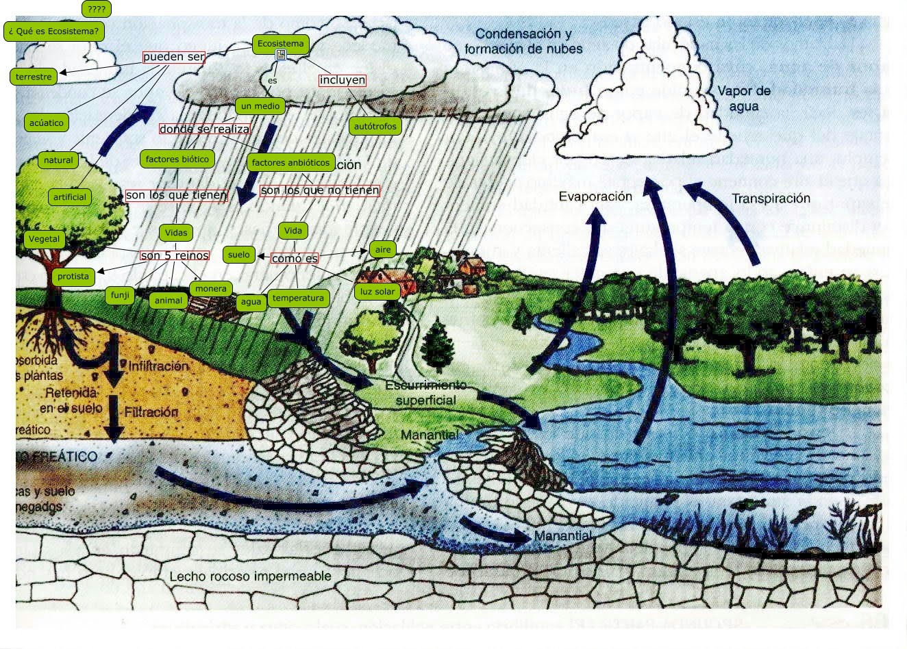 BLOGS DE BIOLOGIA EL MEDIO AMBIENTE Y SU RELACION CON LOS