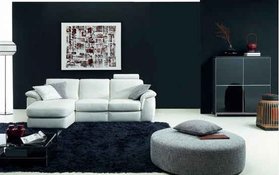 Black & White Living Rooms Design Ideas