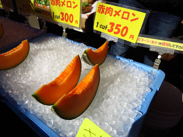 Hokkaido Melon Hakodate. Tokyo Consult. TokyoConsult.