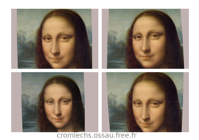 Mona Lisa : reconstruction faciale (hybridation) / Mona Lisa : facial reconstruction (hybridization) / Icons Media Studio