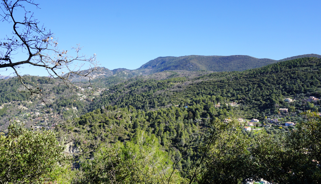 Mont Férion seen from trail