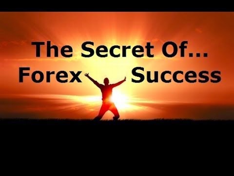 Daily Forex Signals