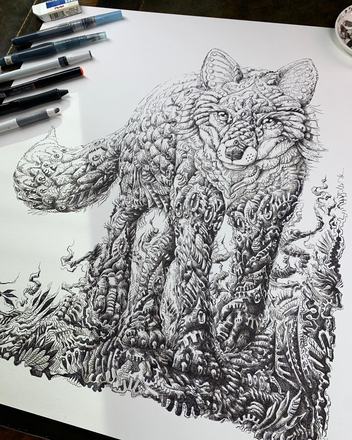 04-Red-Fox-Animal-Drawings-Ben-Kwok-www-designstack-co
