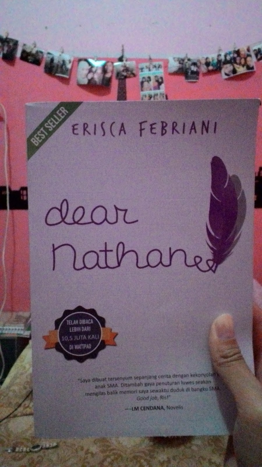 Review Dear Nathan By Erisca Febriani Moody Author