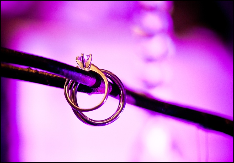 Diana   Helio Wedding- Color-848