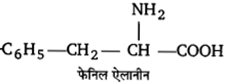 Solutions Class 12 रसायन विज्ञान-II Chapter-6 (जैव-अणु)