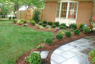 simple landscaping ideas around house