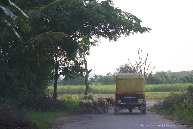 Right of Way