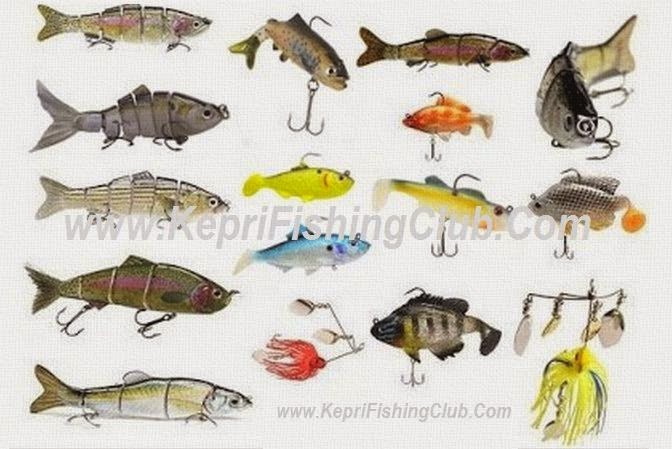 Setiap pemancing baik itu yang pemula maupun yang sudah terbilang senior apalagi profesion Begini Lure atau Minnow Si Umpan Buatan