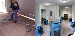 Carpet Water Damage Melbourne