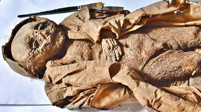 Тело мумифицированного мальчика из склепа