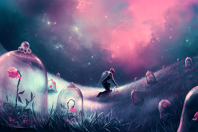 A knight in a field on a clear night with all the stars shining, on his knee, shield on back about to lift (or place) a glass bell jar over a pink flowering rose. All around him in the field are other flowering pink roses with bell jars over them. Digital Art created by Cyril Rolando.