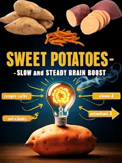 A photorealistic image of a sweet potato with a gear-shaped light bulb emerging from its top. The light bulb is brightly lit and represents sustained mental energy. Smoke stacks labelled "complex carbs" rise from the sides of the sweet potato, and arrows labelled "vitamin A" and "antioxidants" connect to the light bulb.