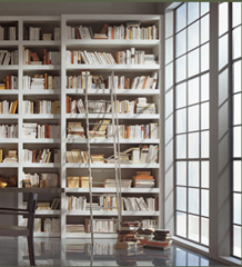 Bookshelves in Dining Rooms