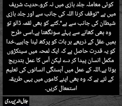 Here is Maulana Rumi Quotes & Maulana Rumi Quotes in Urdu