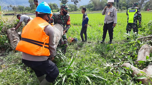 Brimob Sumut Turunkan Tim Bantu Korban Puting Beliung di Tapanuli Utara