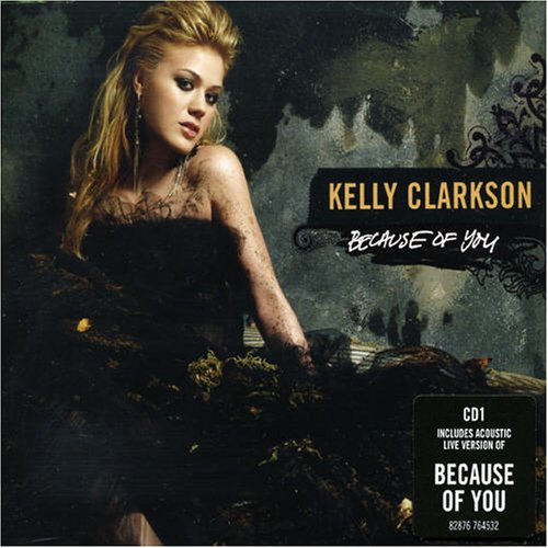 Lirik Lagu Because Of You - Kelly Clarkson Dan Terjemahannya