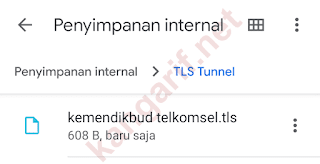 lokasi file config tls tunnel