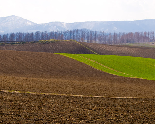 Biei, Hokkaido