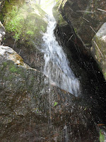 Above Thompson Falls at base of Wildcat