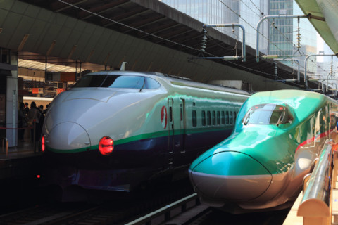 Shinkansen Brothers - E5 Hayabusa & 200 Nasuno (Tokyo, Japan)