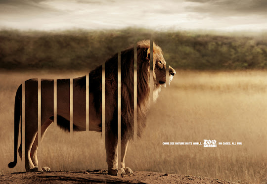 Creative Print Ads 14