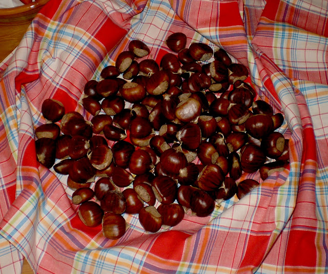 fresh chestnuts