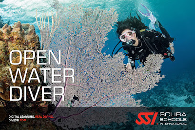 scuba diving open water