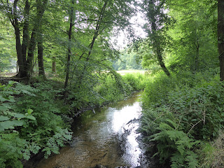 De Hierdense Beek