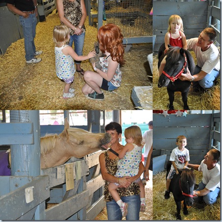 Fair days2