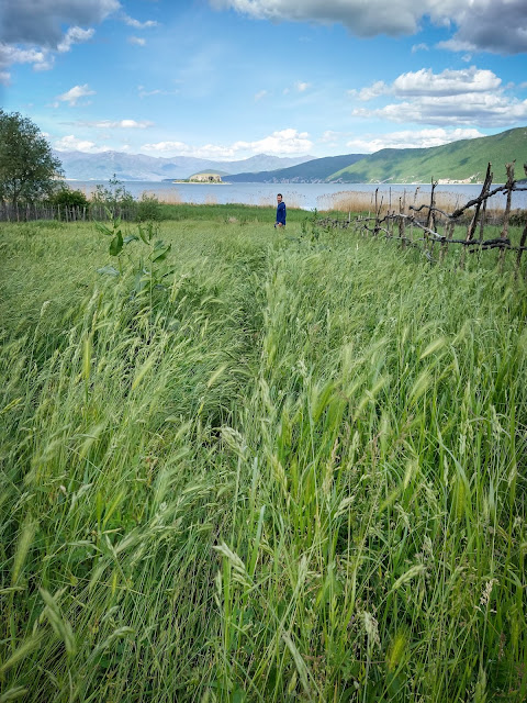 By Lake Prespa, Albania