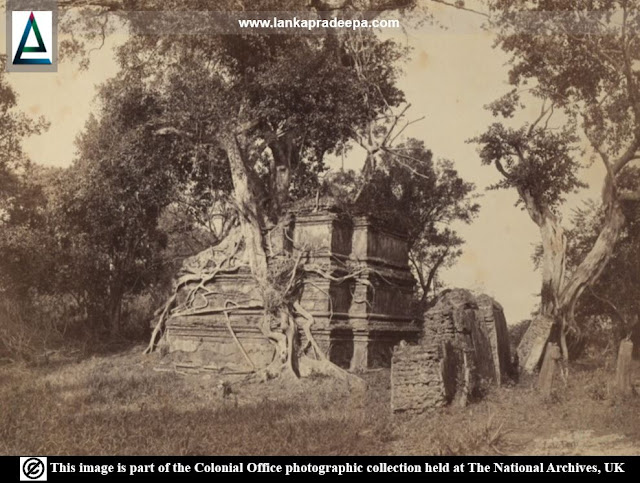 Dhavalagaraya before conservation