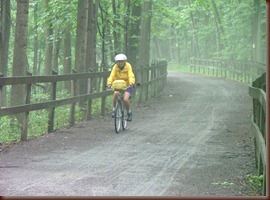 MISTY RIDE IN YELLOW