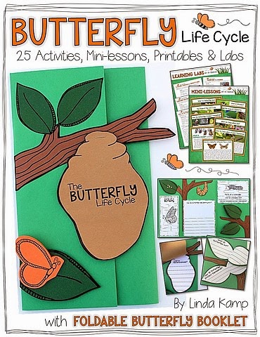 Butterfly life cycle unit