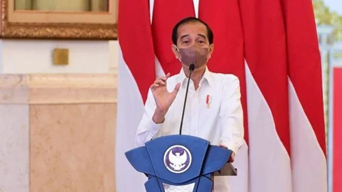 Apa Itu Ekonomi Hijau? Ini Kata Jokowi