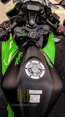 Kawasaki Ninja 250RR Mono 2016