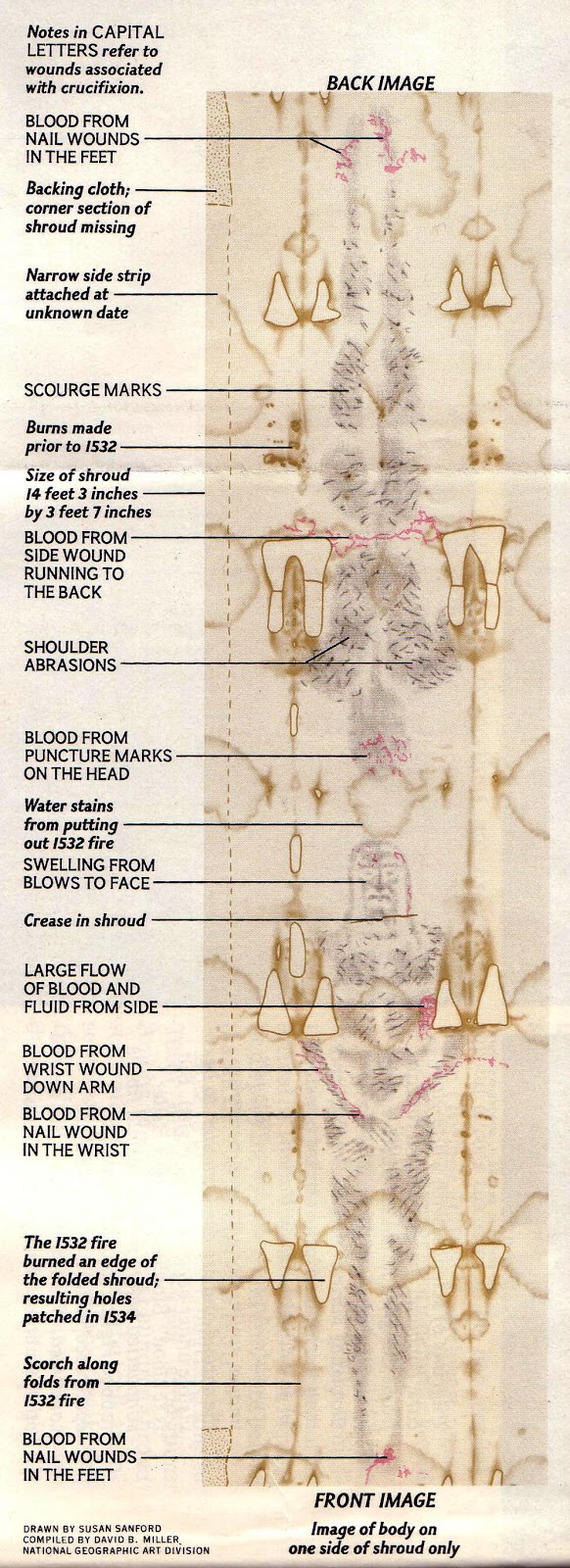 The Shroud of Turin: The Shroud man and Jesus were scourged #37: The evidence is overwhelming that the Turin Shroud is Jesus' burial sheet!