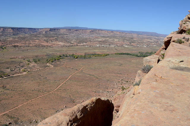 Comb Wash below and Bears Ears in the distance