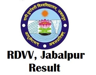 Rani Durgavati Vishwavidyalaya Exam Result 2017